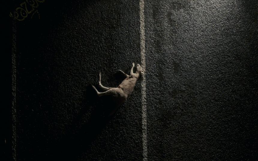 «Два, три, демон, приди!»