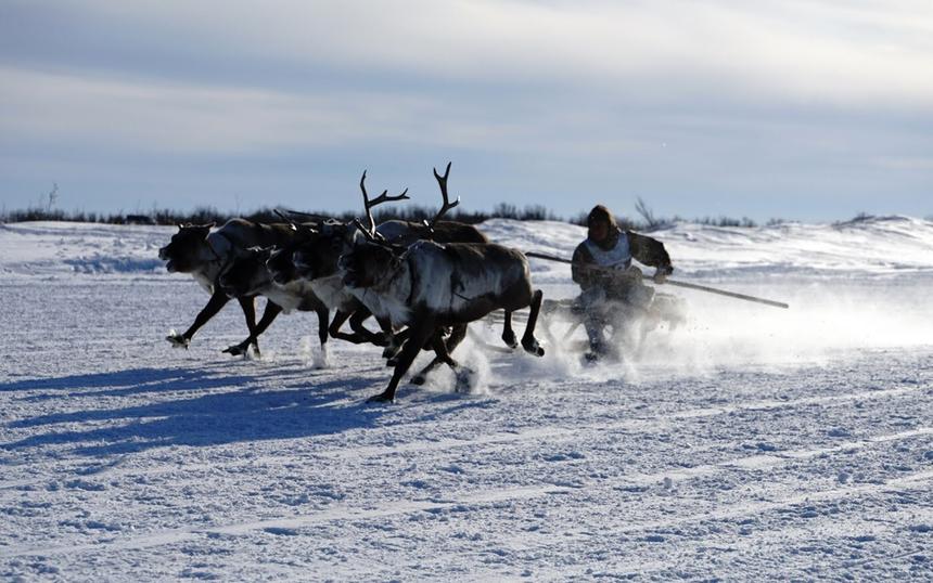 «Великий северный путь»
