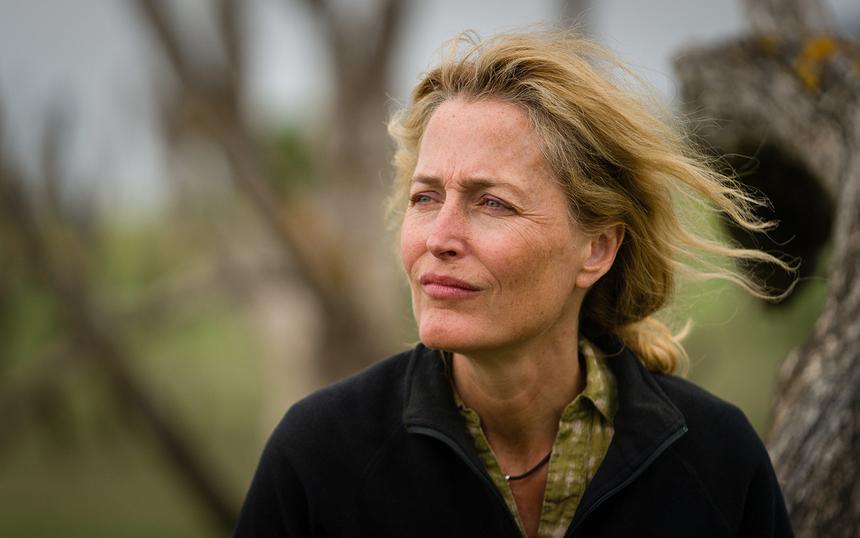 «Соленая тропа»: трейлер, кадры, сюжет, рецензия