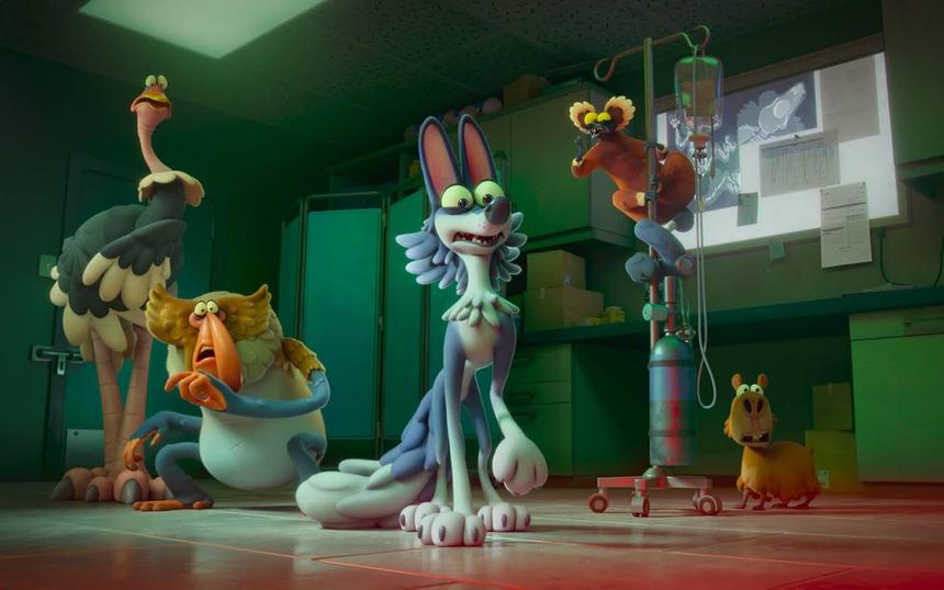 «Ночь в зоопарке»