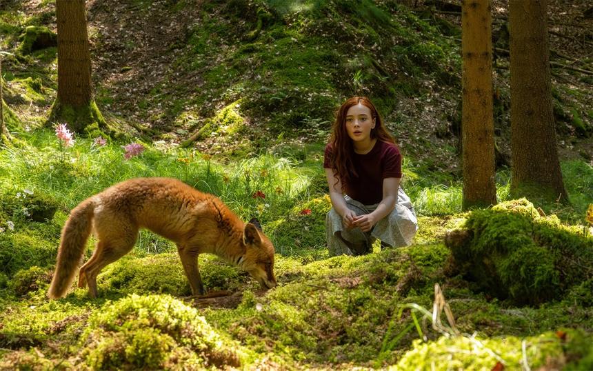 «Магия четырех стихий»