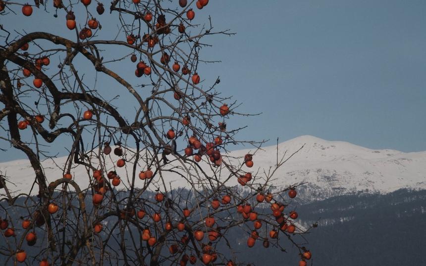 «Край ночи»