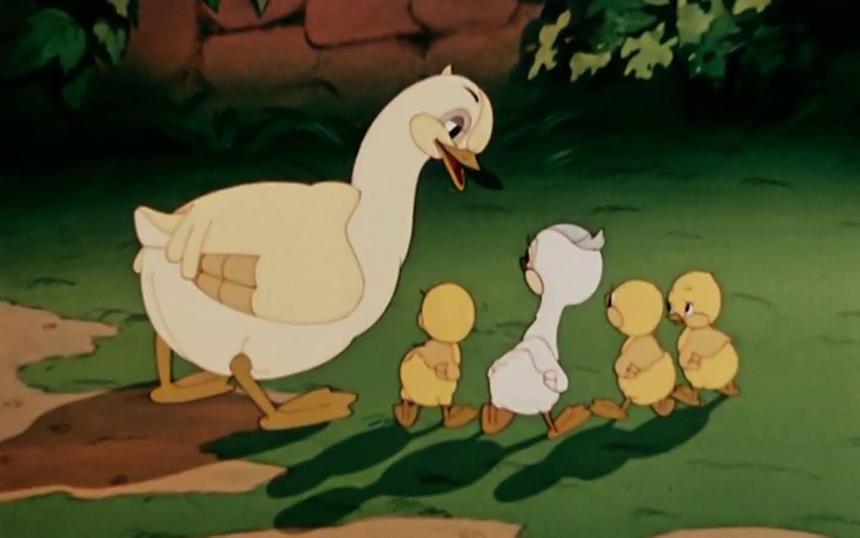 «Гадкий утенок»