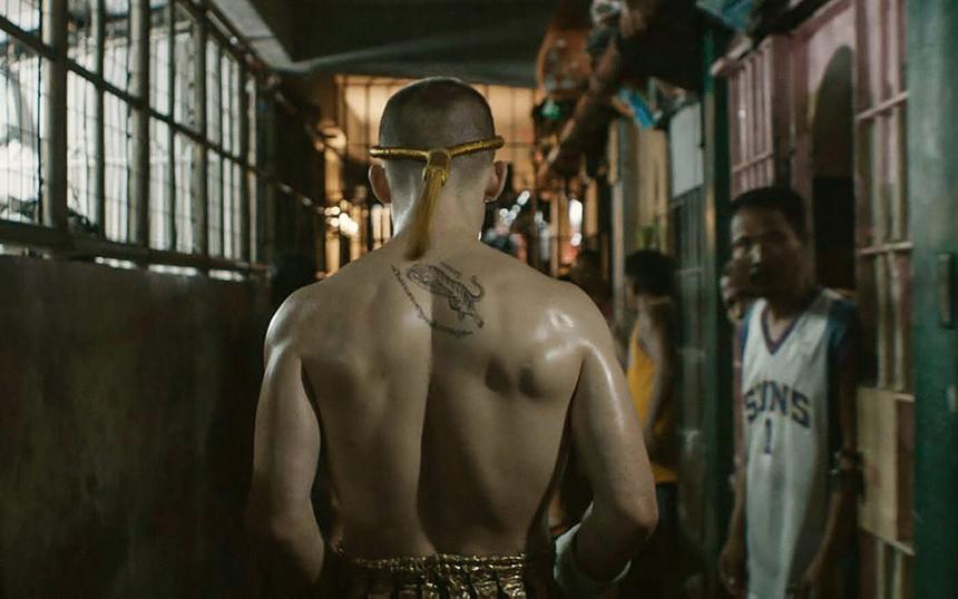 «Бои без правил»