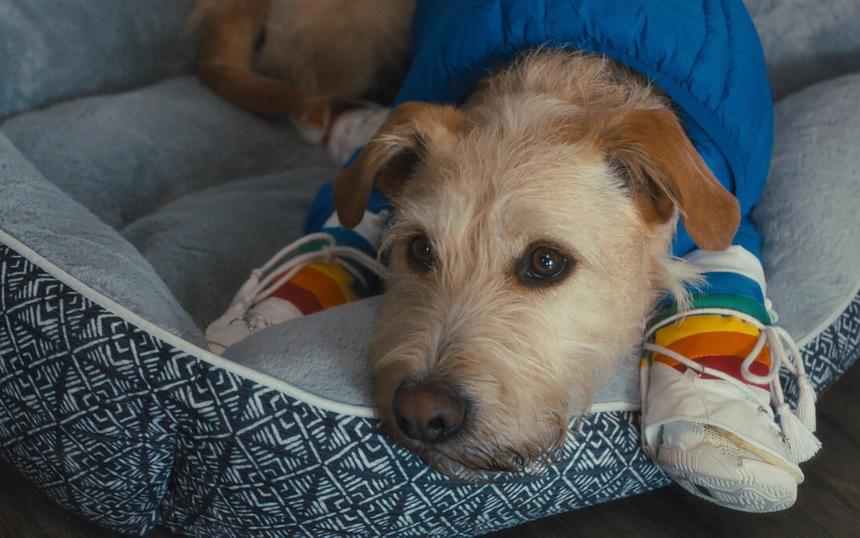 Каким получился фильм «Мерв»