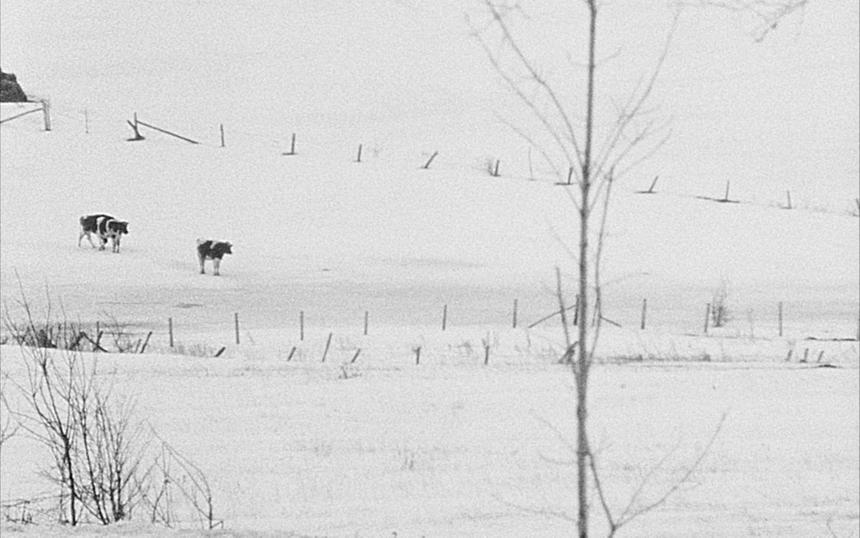 «Дверной проём»