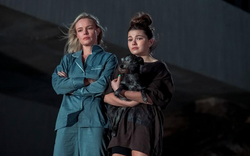 «Ночь койота» (2025): трейлер, кадры, сюжет, рецензия