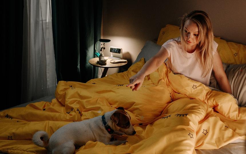 Рецензия на сериал «Жека Рассел»