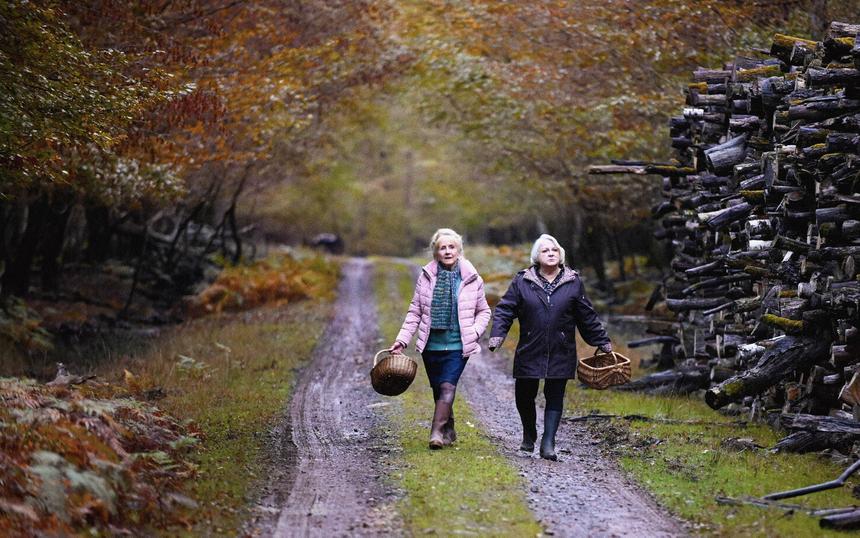 «Что случилось осенью»