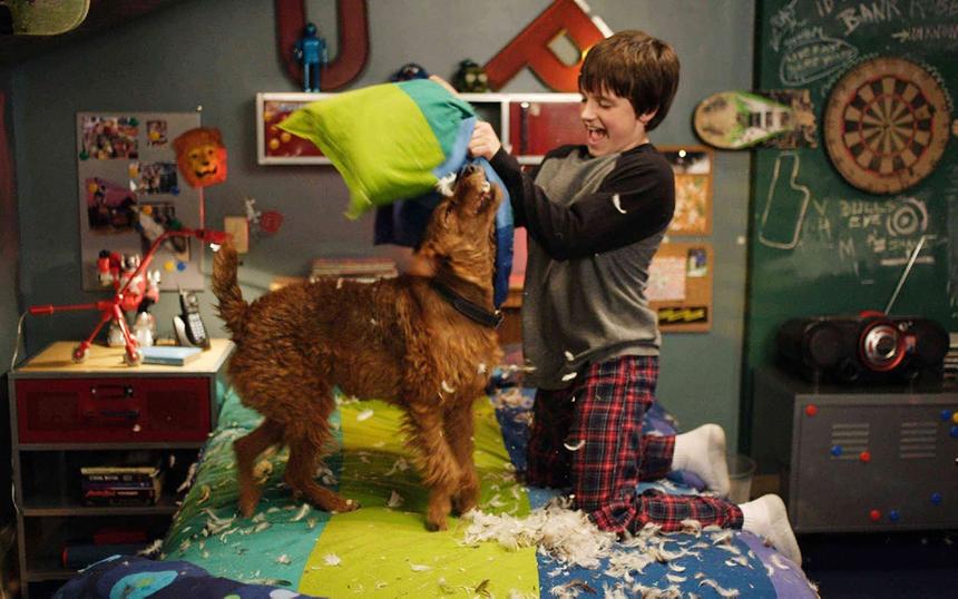 Комедия «Пожарный пёс»