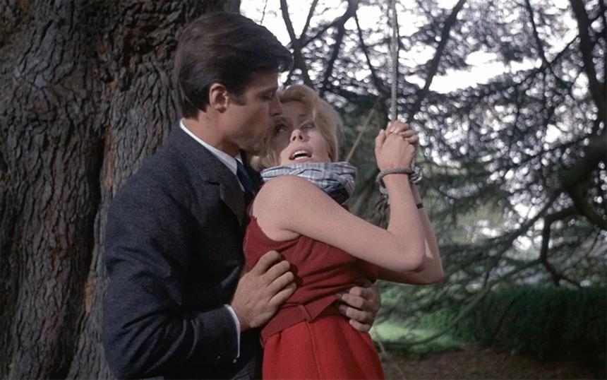 «Дневная красавица»