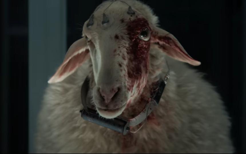 «Чужой: Земля»