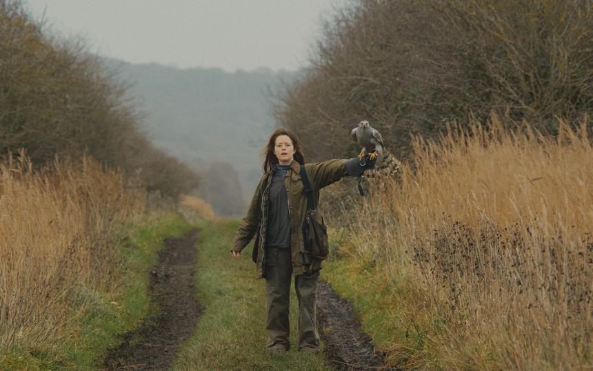 Стоит ли смотреть фильм «Я — значит Ястреб»