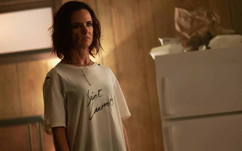 Сюжет всех сезонов сериала «Шершни»