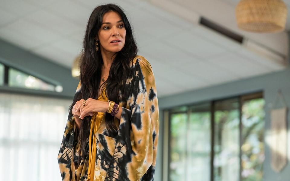 «Шершни», 1-й сезон