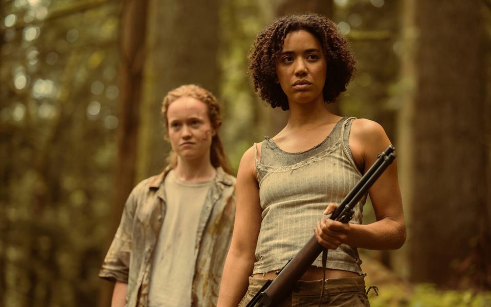 «Шершни», 3-й сезон