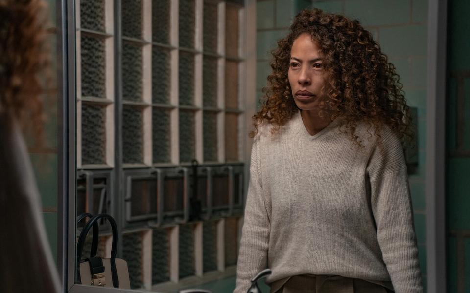 «Шершни», 3-й сезон