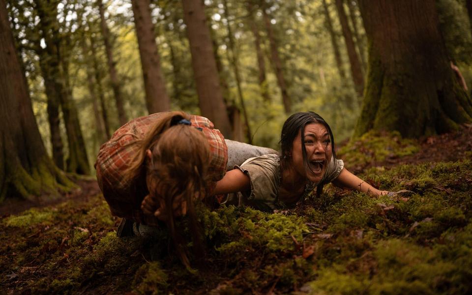 Продолжение сериала «Шершни»: рецензия на 3-й сезон