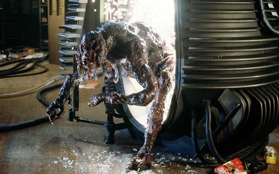 Главные темы творчества Дэвида Кроненберга