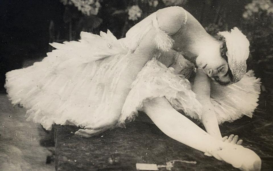 «Умирающий лебедь»