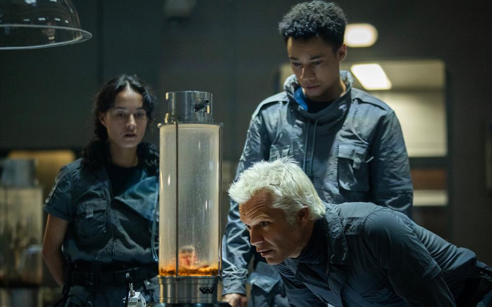 «Чужой: Земля»