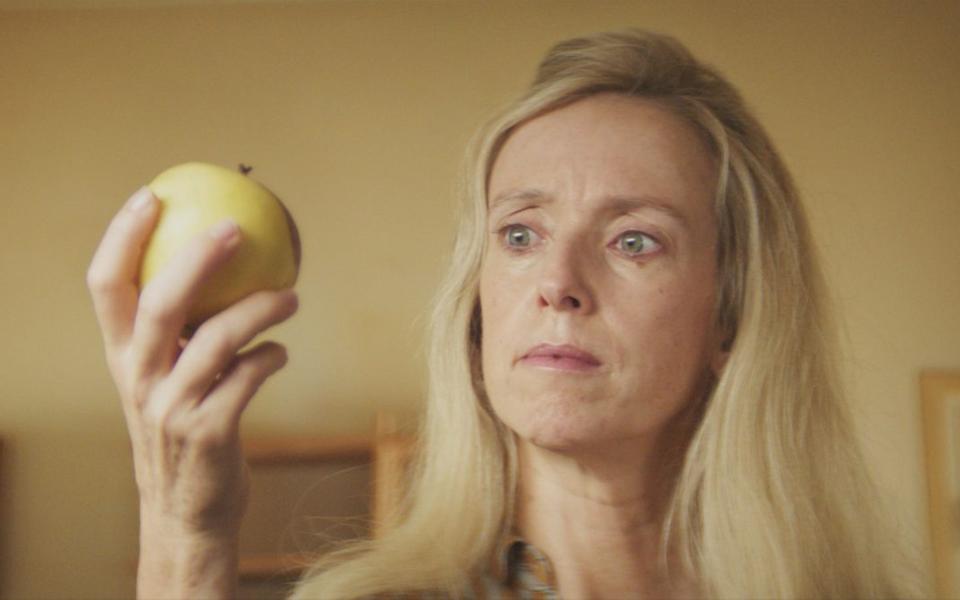 Лучшие фильмы Кантена Дюпьё