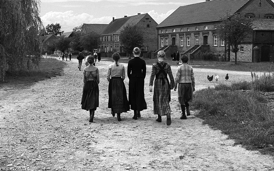 «Белая лента»