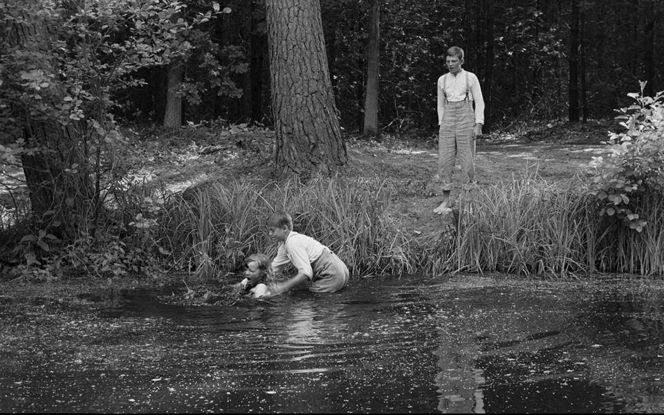 «Белая лента»