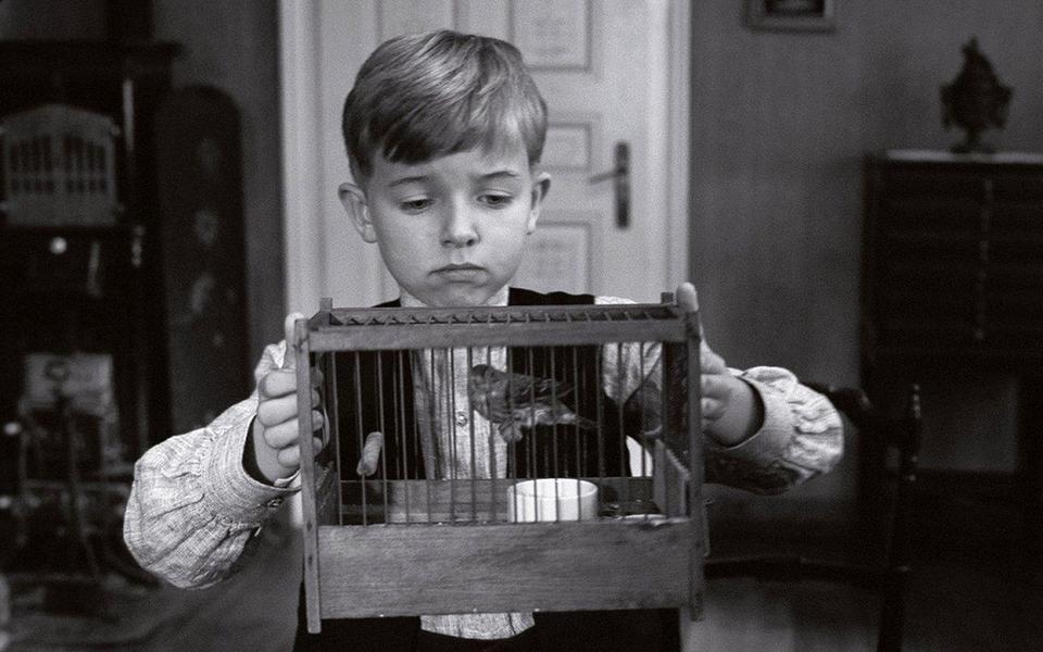 «Белая лента»