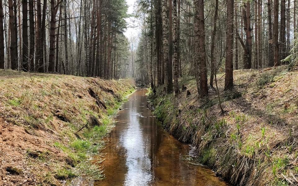 «Секретная система недопонимания 2»