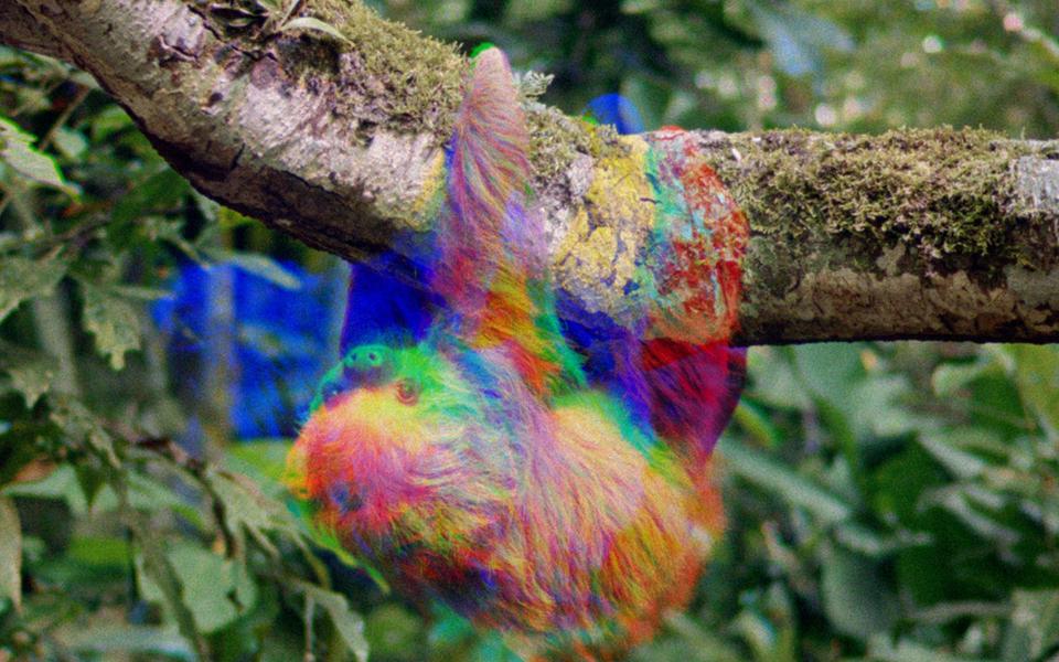 Фильм «Наконец-то!»