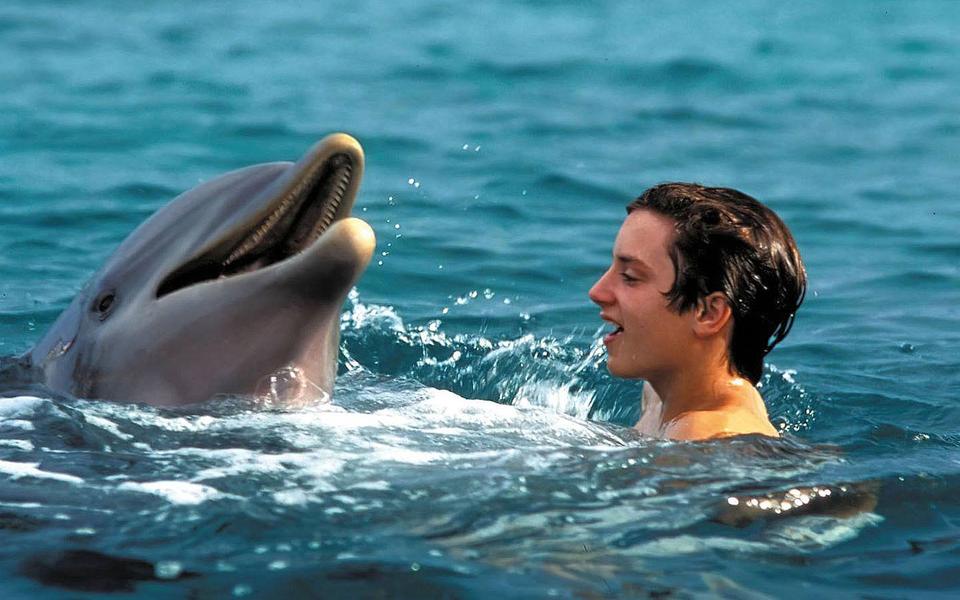 «Хатико: Самый верный друг»