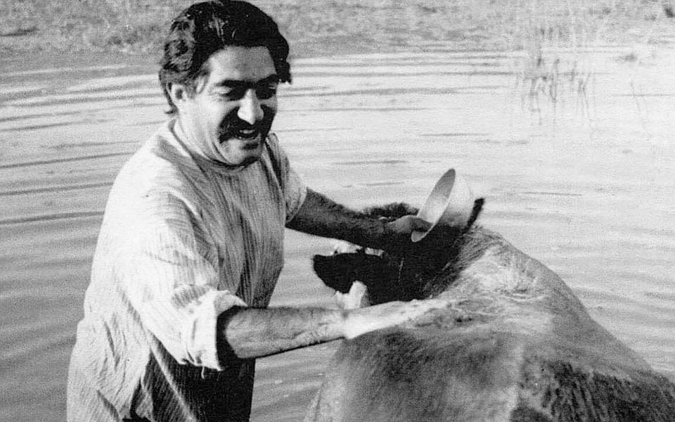 «Девушка-лурка»