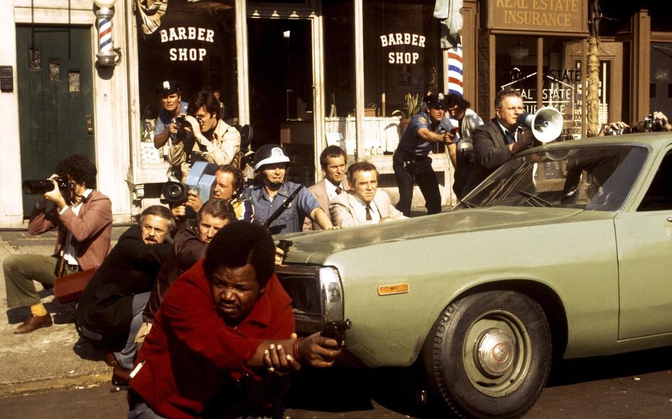 «Собачий полдень»